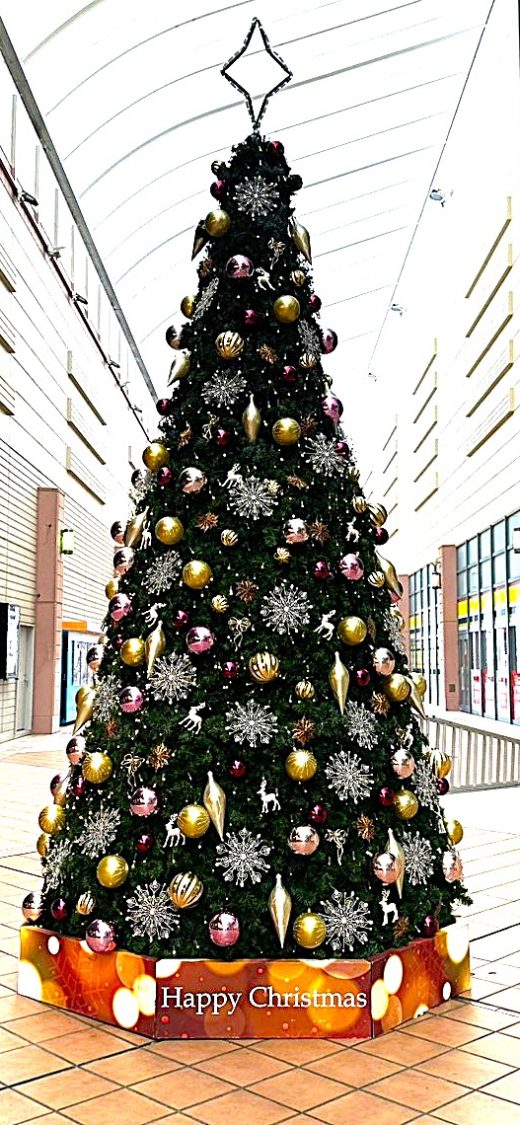 店内装飾/イルミネーション 6